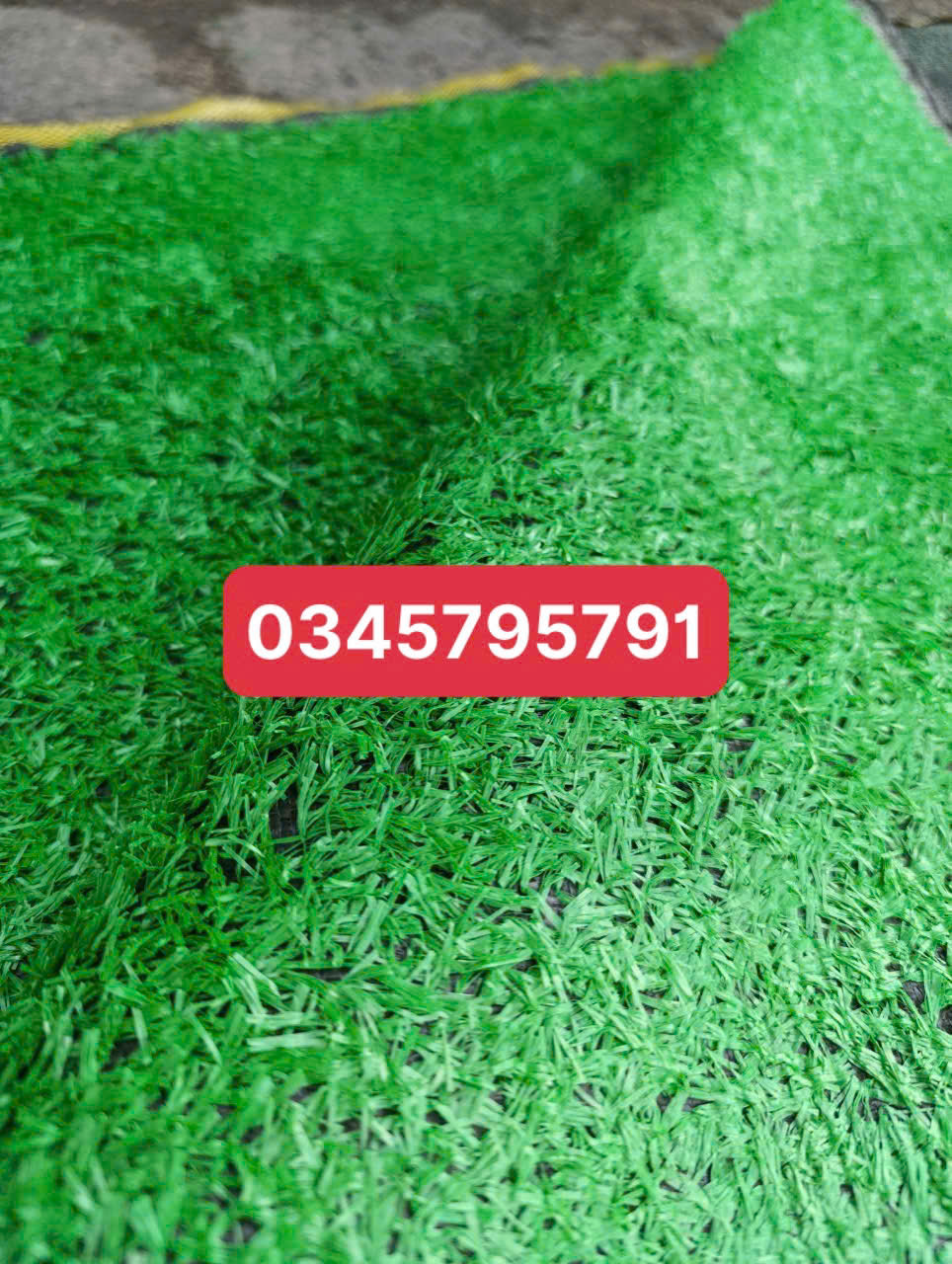 Thảm cỏ một phân rưỡi 