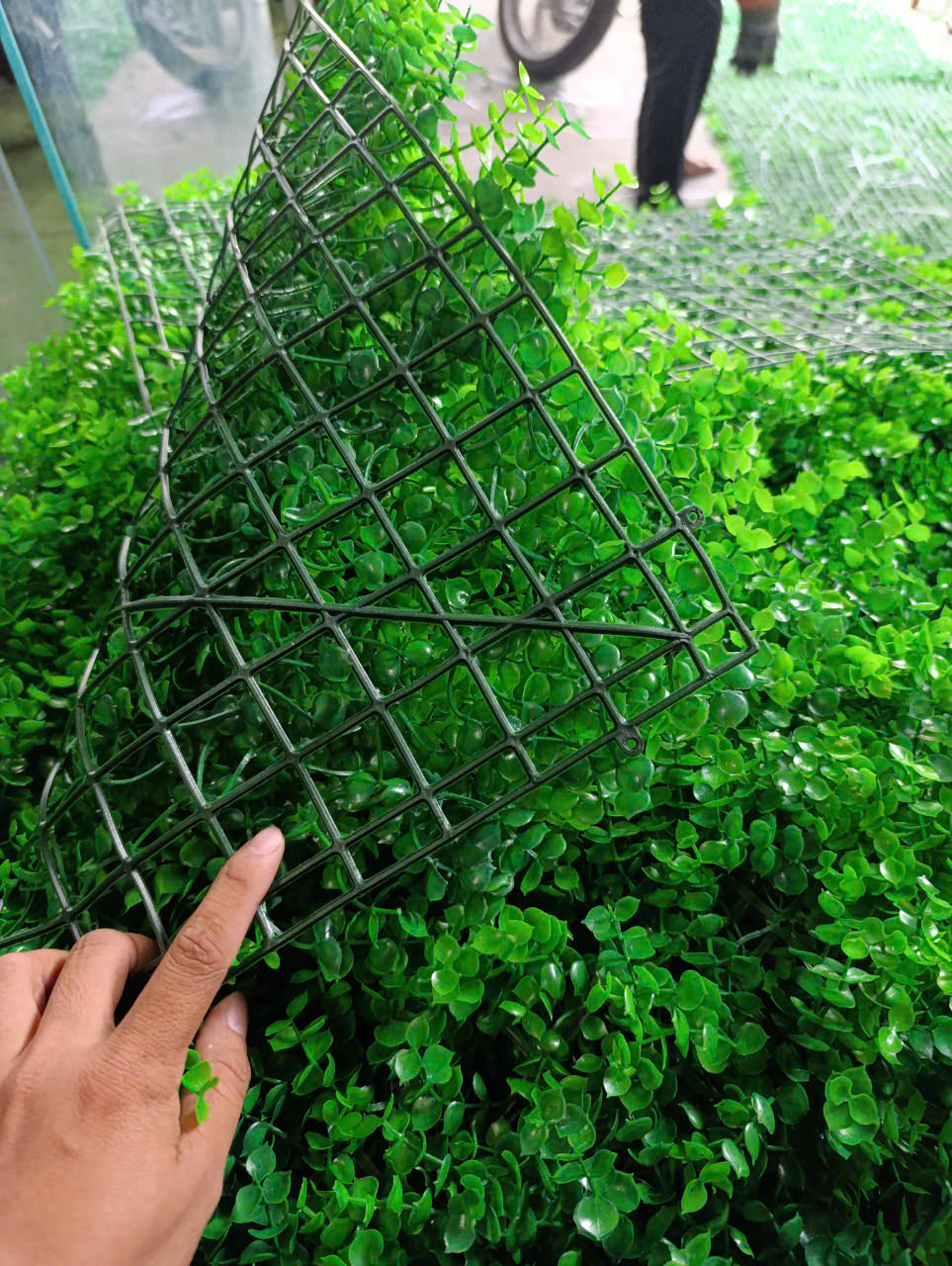 Sản phẩm mẫu số 6