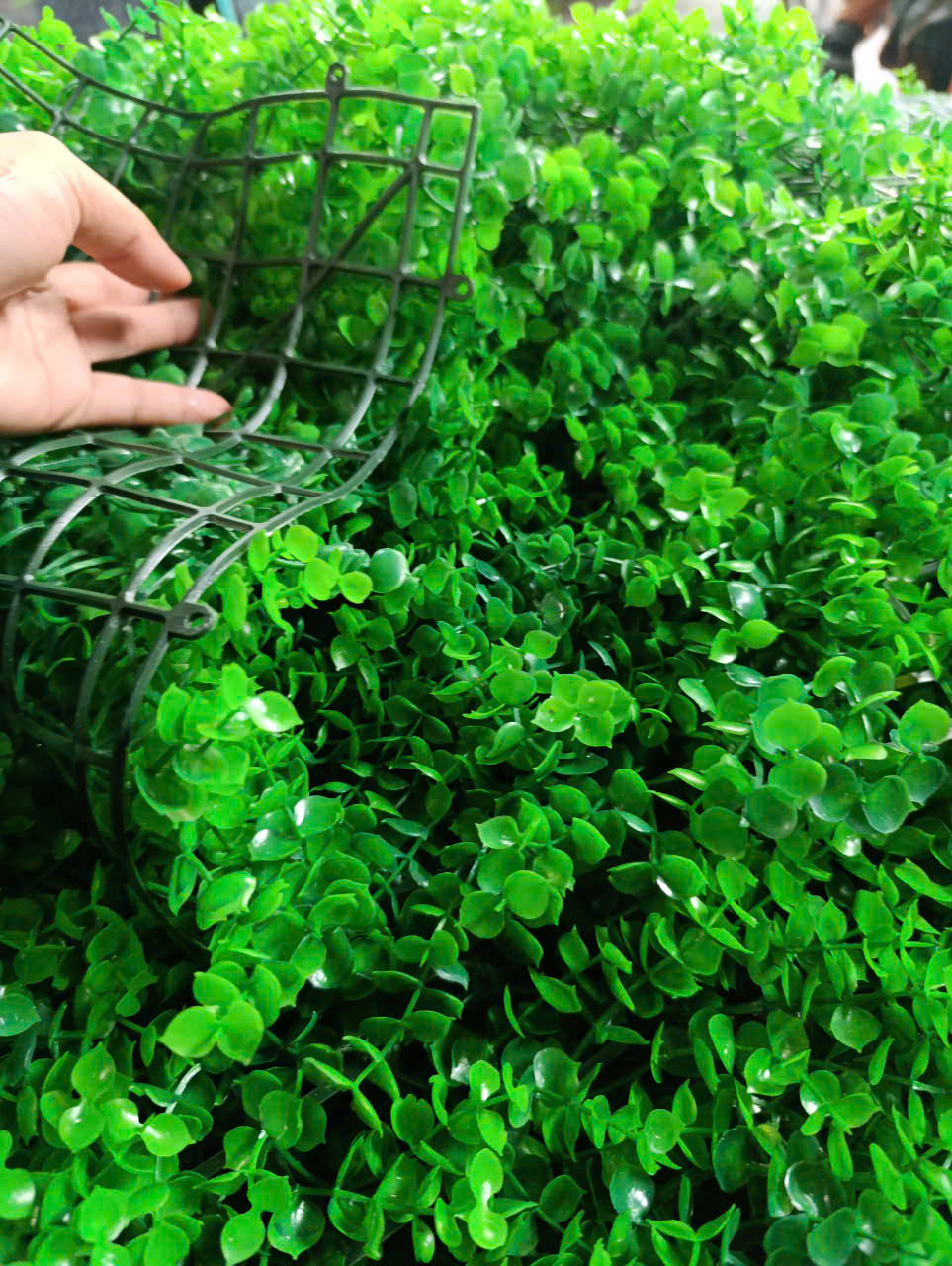 Tấm tai chuột trang trí