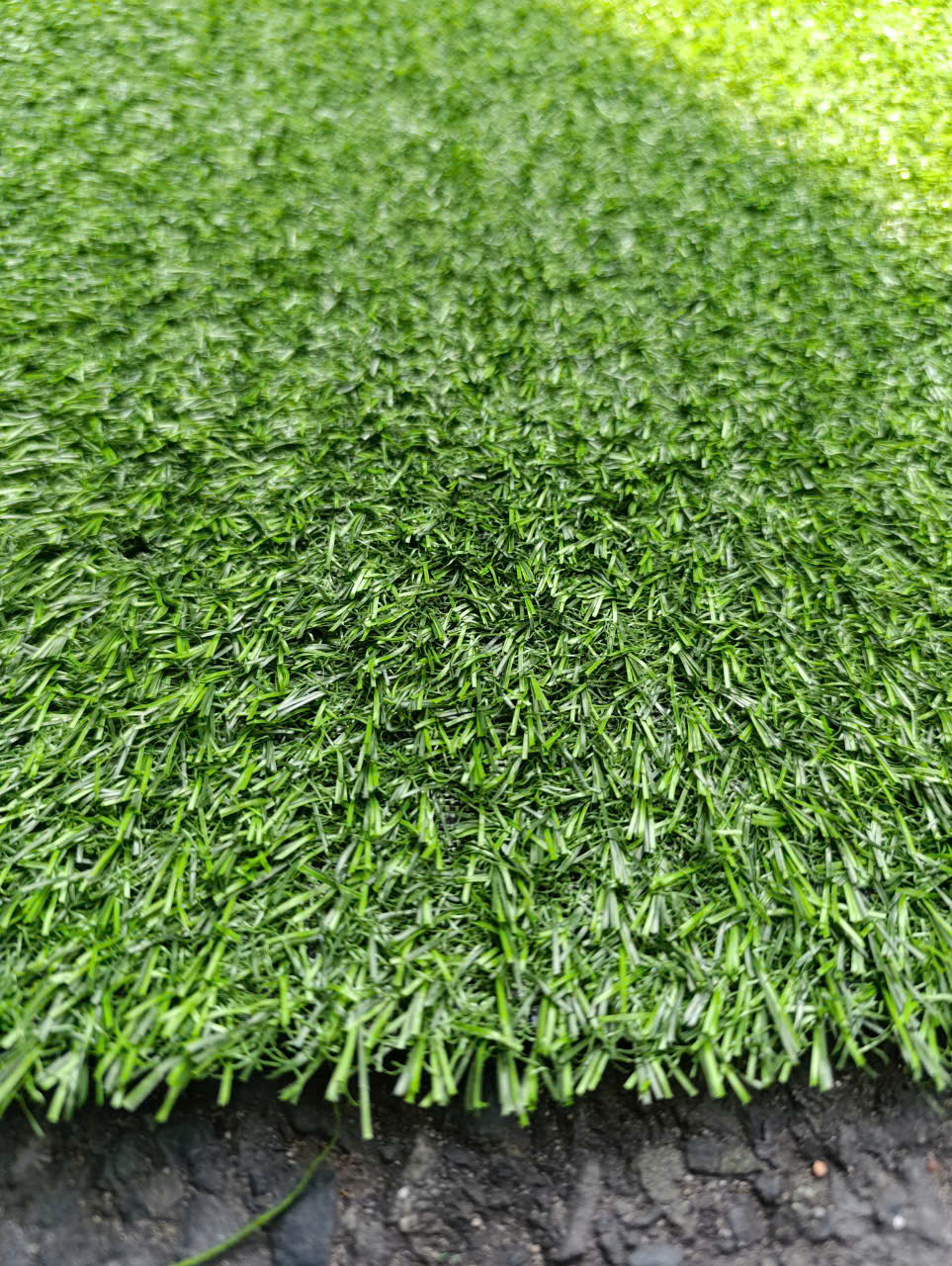 Thảm cỏ loại hai phân xịn