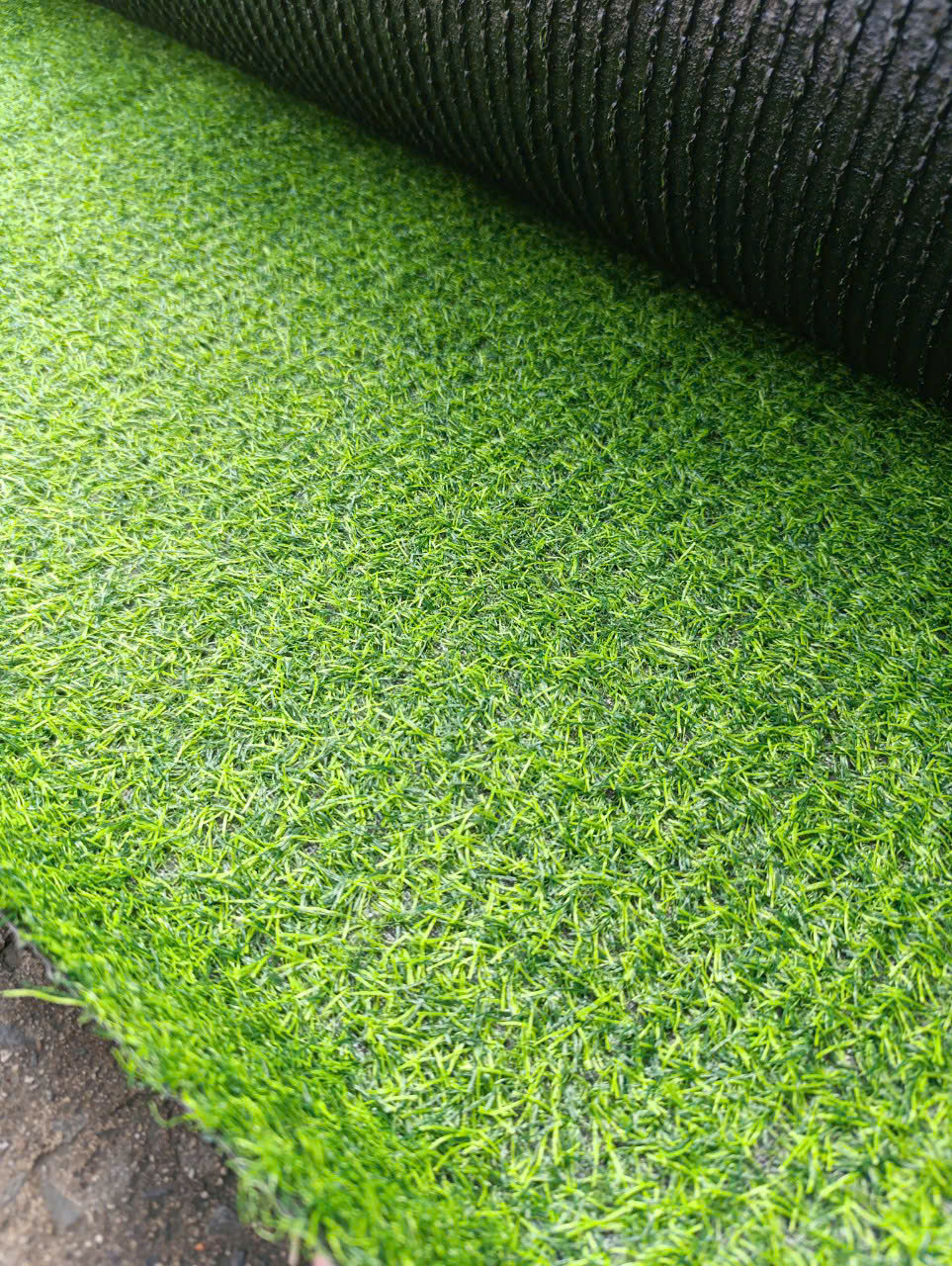 Thảm cỏ loại 2cm 