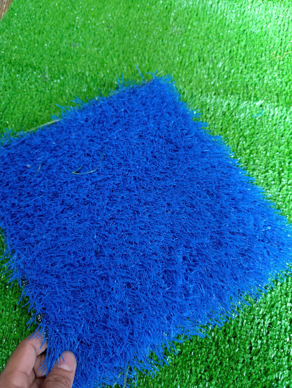 Cỏ nhân tạo màu xanh dương