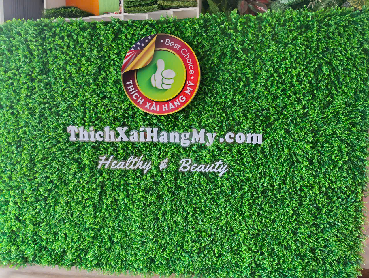 Vách tai chuột trơn 