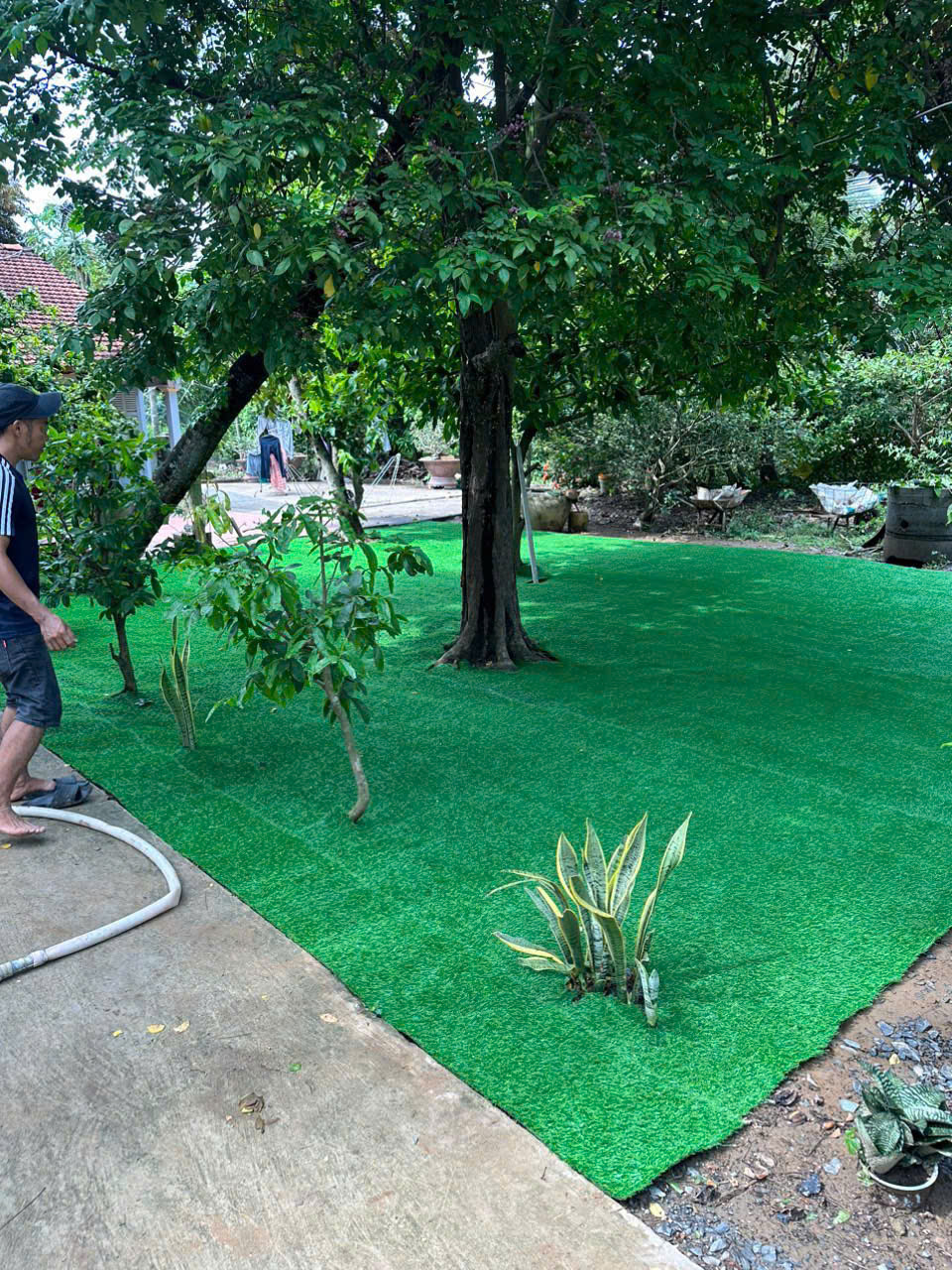 Địa chỉ mua thảm cỏ sân vườn Sale rẻ cuối năm 